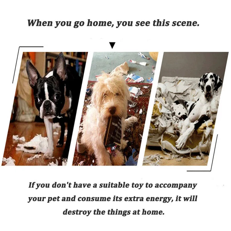 🛸 EVA Pet Flying Disc Ring – Bite-Resistant, Floating Dog Toy for Training & Outdoor Play