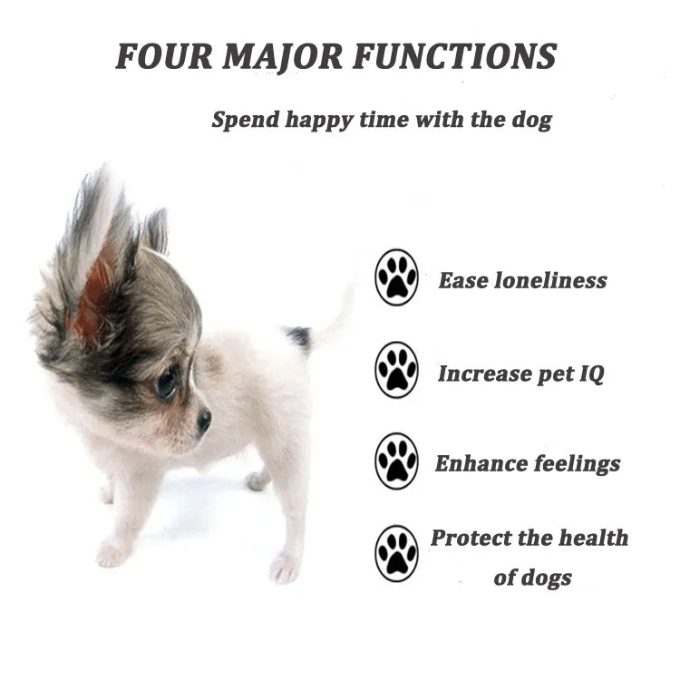 🛸 EVA Pet Flying Disc Ring – Bite-Resistant, Floating Dog Toy for Training & Outdoor Play