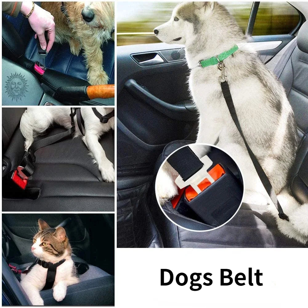 🚗 Adjustable Pet Car Seat Belt – Safety Harness Lead Clip for Dogs & Cats