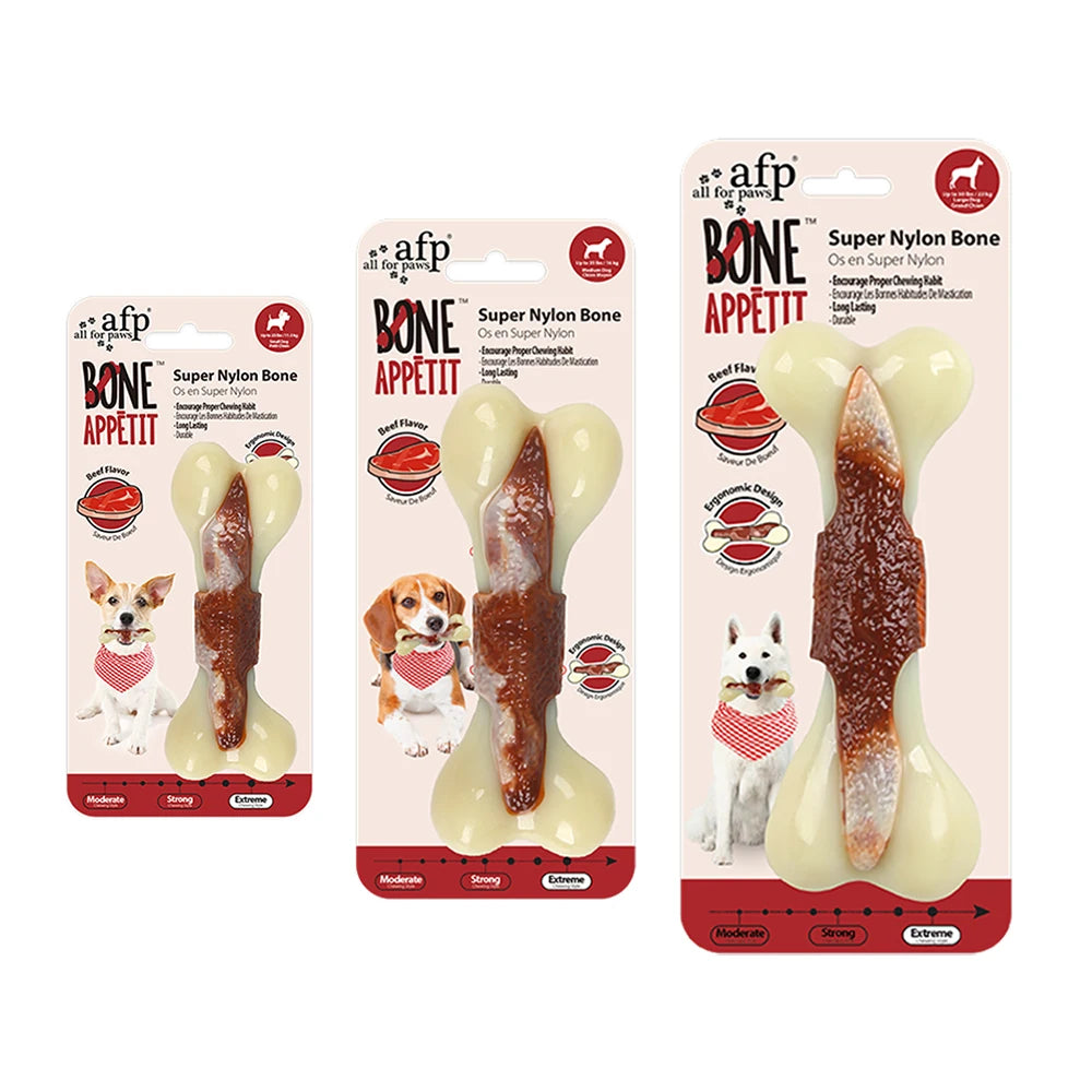 🦴 All For Paws Indestructible Nylon Bone – Beef-Flavored Chew Toy for Aggressive Chewers