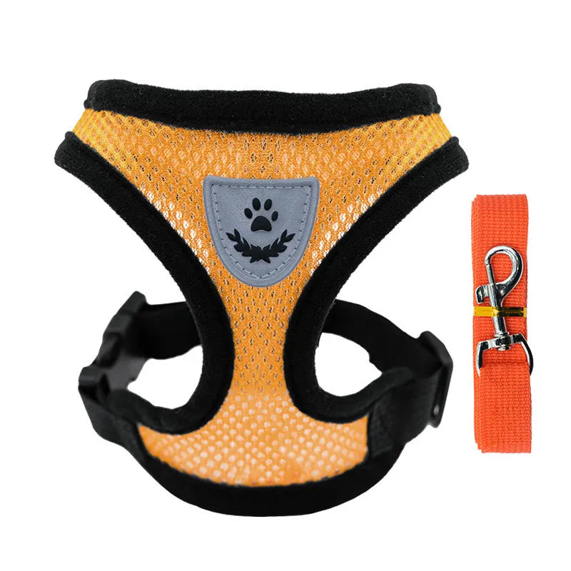 Breathable Mesh Cat & Small Dog Harness and Leash Kit