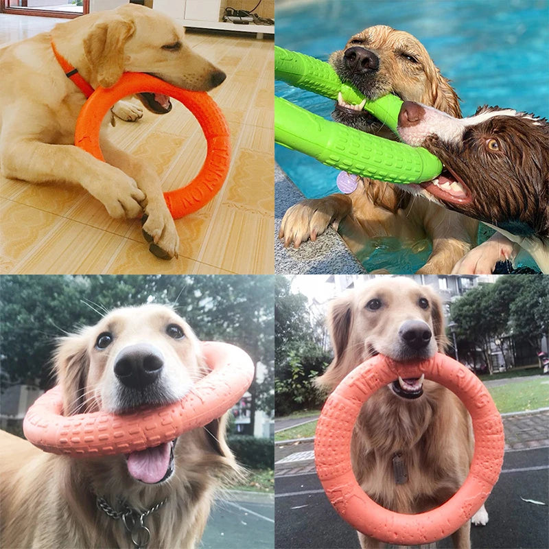 🎯 Dog Training Ring Puller Toy – Chewable Flying Disk for Outdoor Play &amp; Training