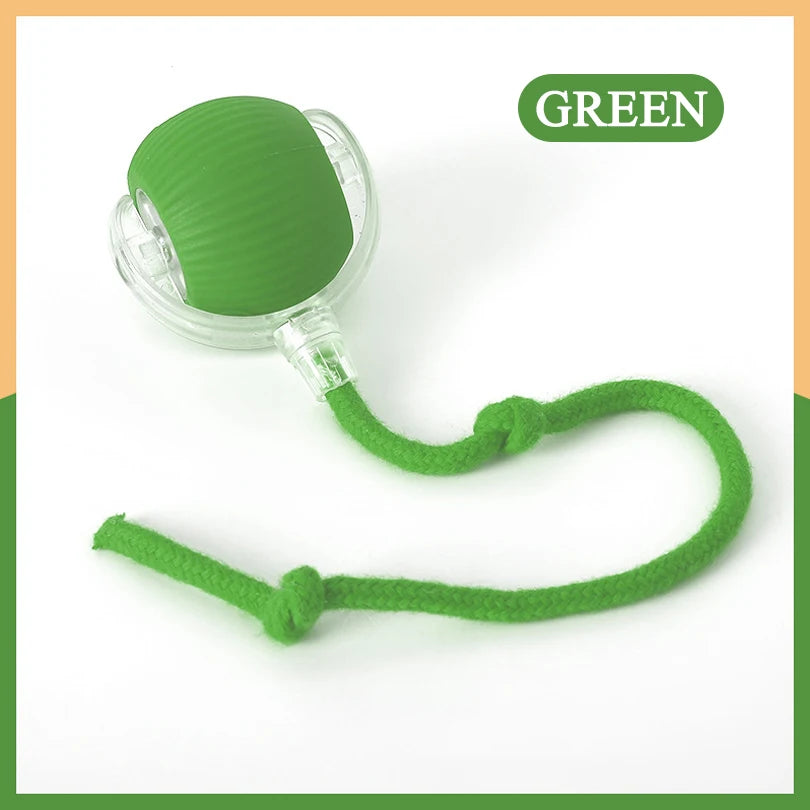 🐱 Motion-Activated Rolling Cat Toy – Fast Hide and Seek Fun for Cats