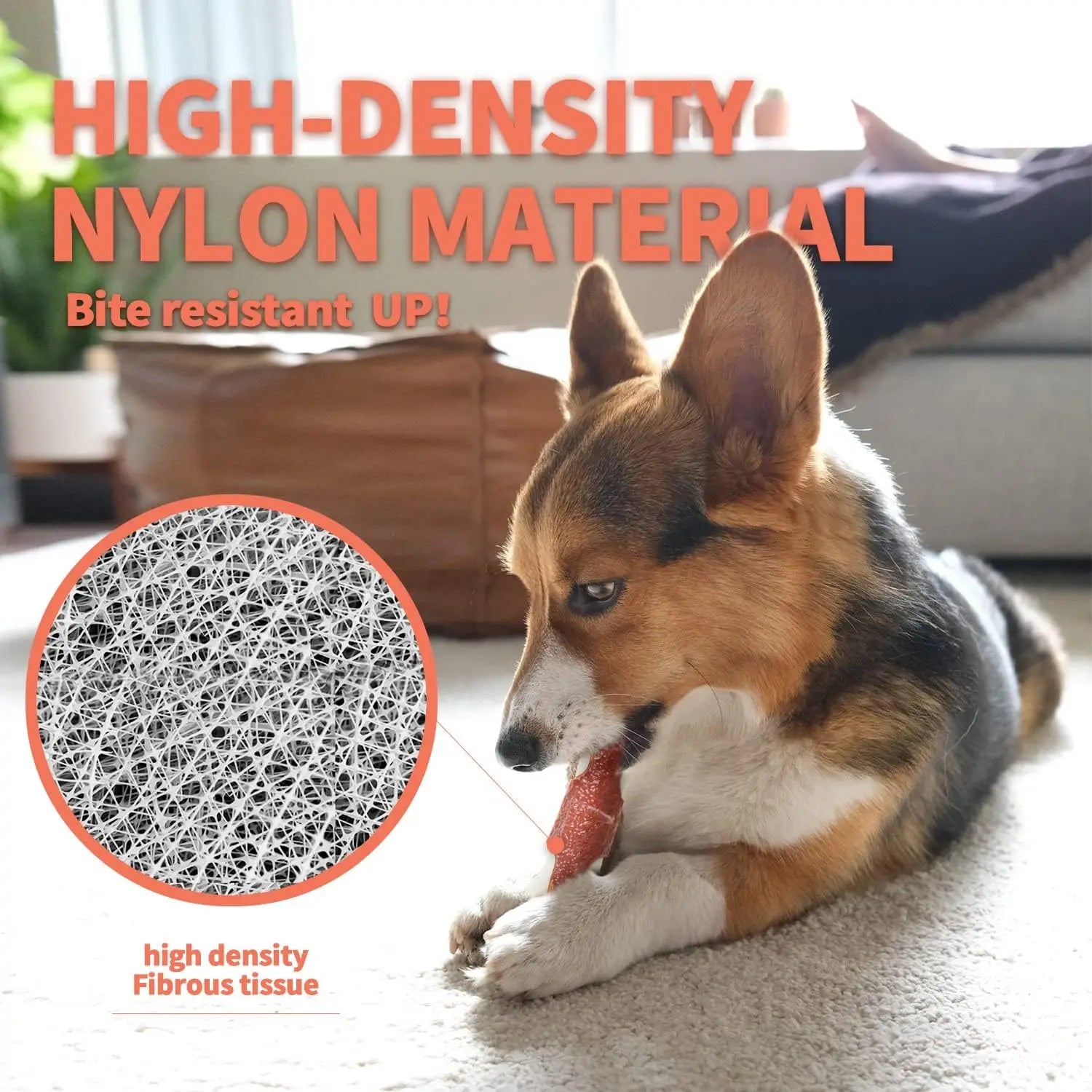 🦴 All For Paws Indestructible Nylon Bone – Beef-Flavored Chew Toy for Aggressive Chewers