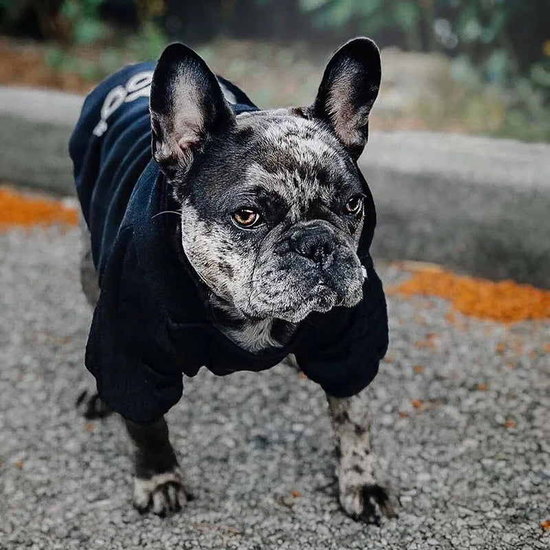 🧥 Pet Dog Hoodie – Warm & Stylish Jacket for Large Dogs (Autumn/Winter)
