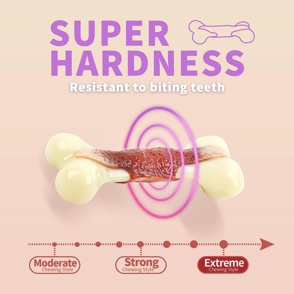 🦴 All For Paws Indestructible Nylon Bone – Beef-Flavored Chew Toy for Aggressive Chewers