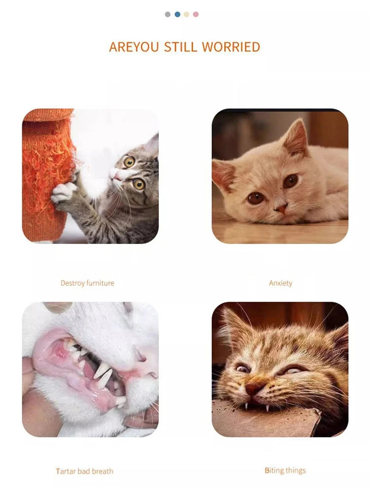 🥕 Audible Carrot Cat Toy – Tickling Molar Stick & Scratching Fun for Cats & Kittens