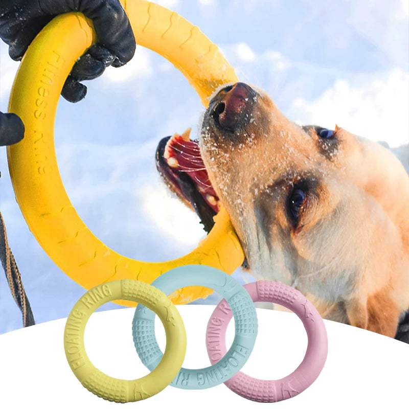 🎯 Dog Training Ring Puller Toy – Chewable Flying Disk for Outdoor Play &amp; Training