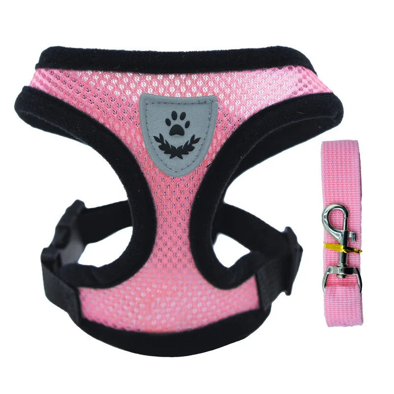 Breathable Mesh Cat & Small Dog Harness and Leash Kit