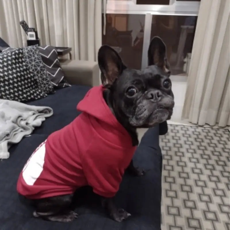 🧥 Pet Dog Hoodie – Warm & Stylish Jacket for Large Dogs (Autumn/Winter)