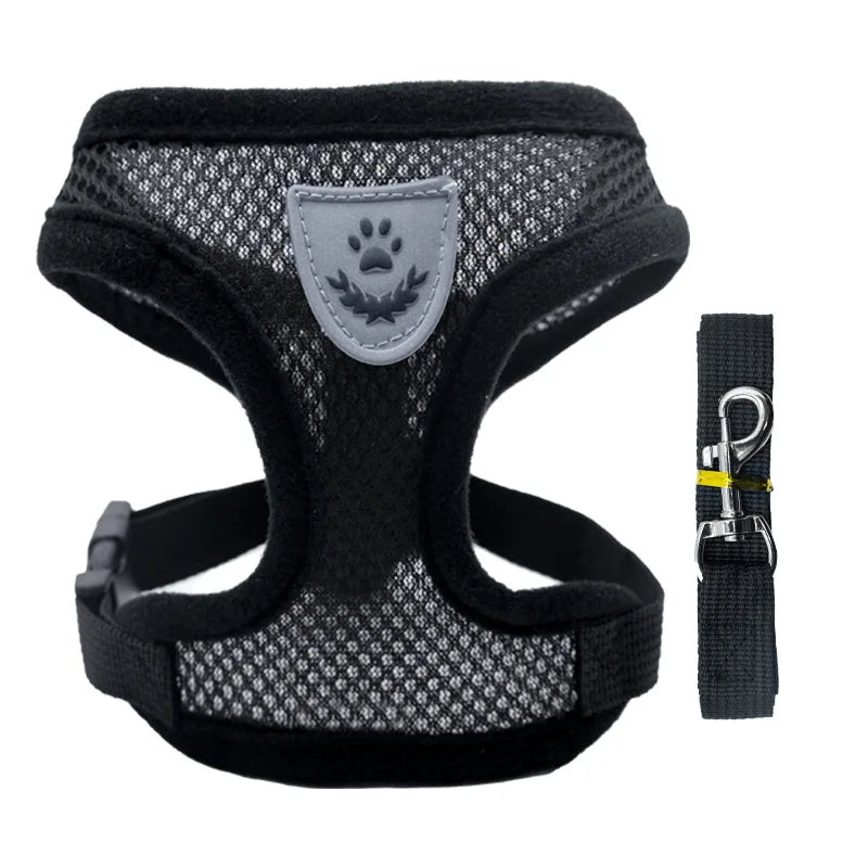Breathable Mesh Cat & Small Dog Harness and Leash Kit