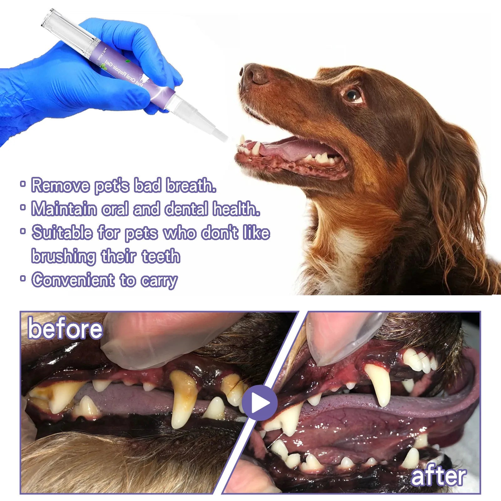 3ml Pet Oral Gel – No-Brush Dental Care for Dogs & Cats