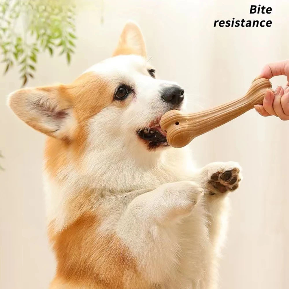 Bite-Resistant Chew Toy – Durable Pine Wood Molar Stick for Dogs