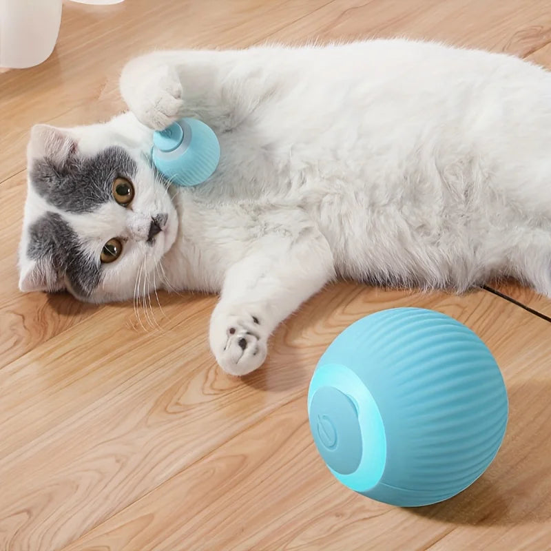 ⚡ Power Ball Cat Toy – USB Rechargeable Smart Rolling Ball for Indoor Cats