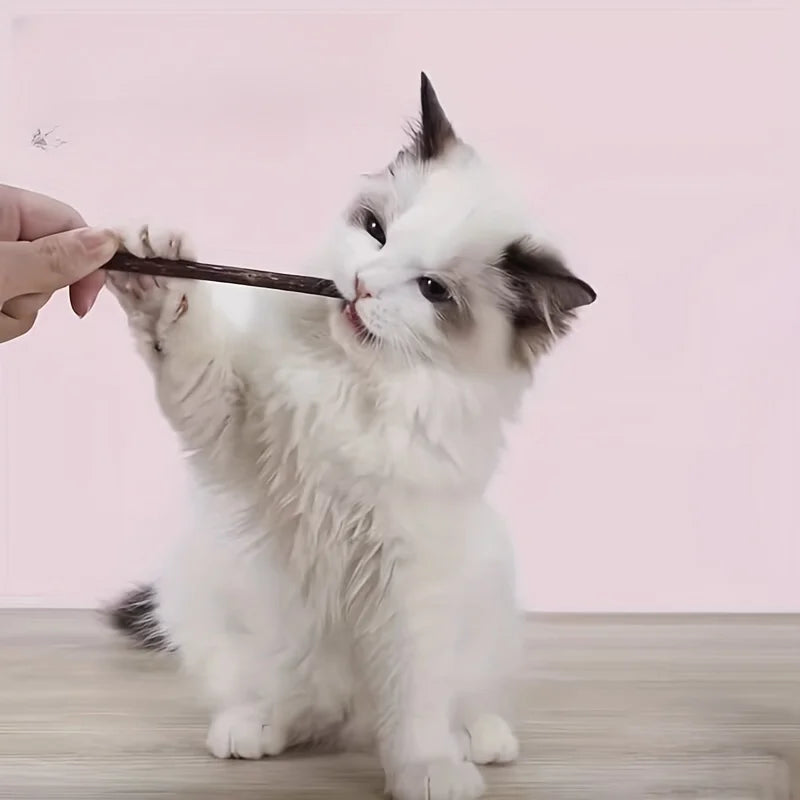 🌿 Natural Catnip Teething Sticks – 10/15/20 Pack Polygonum Chew Toys for Cats