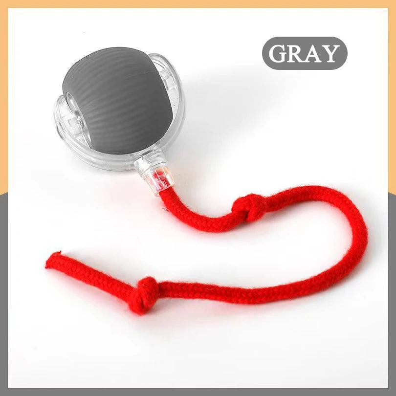 🐱 Motion-Activated Rolling Cat Toy – Fast Hide and Seek Fun for Cats