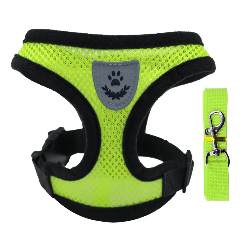 Breathable Mesh Cat & Small Dog Harness and Leash Kit
