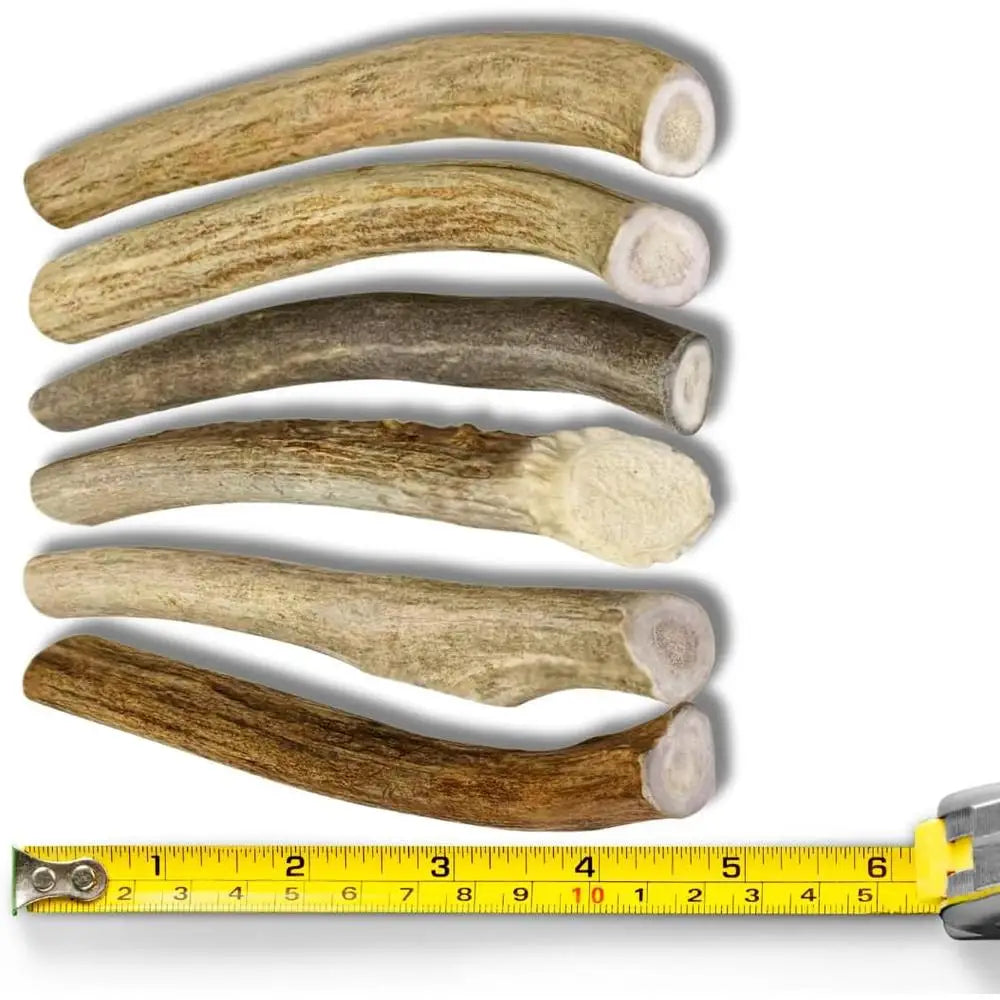 🦴 Natural Deer Antler Dog Chews – 6 Pack for Small Breed Dogs
