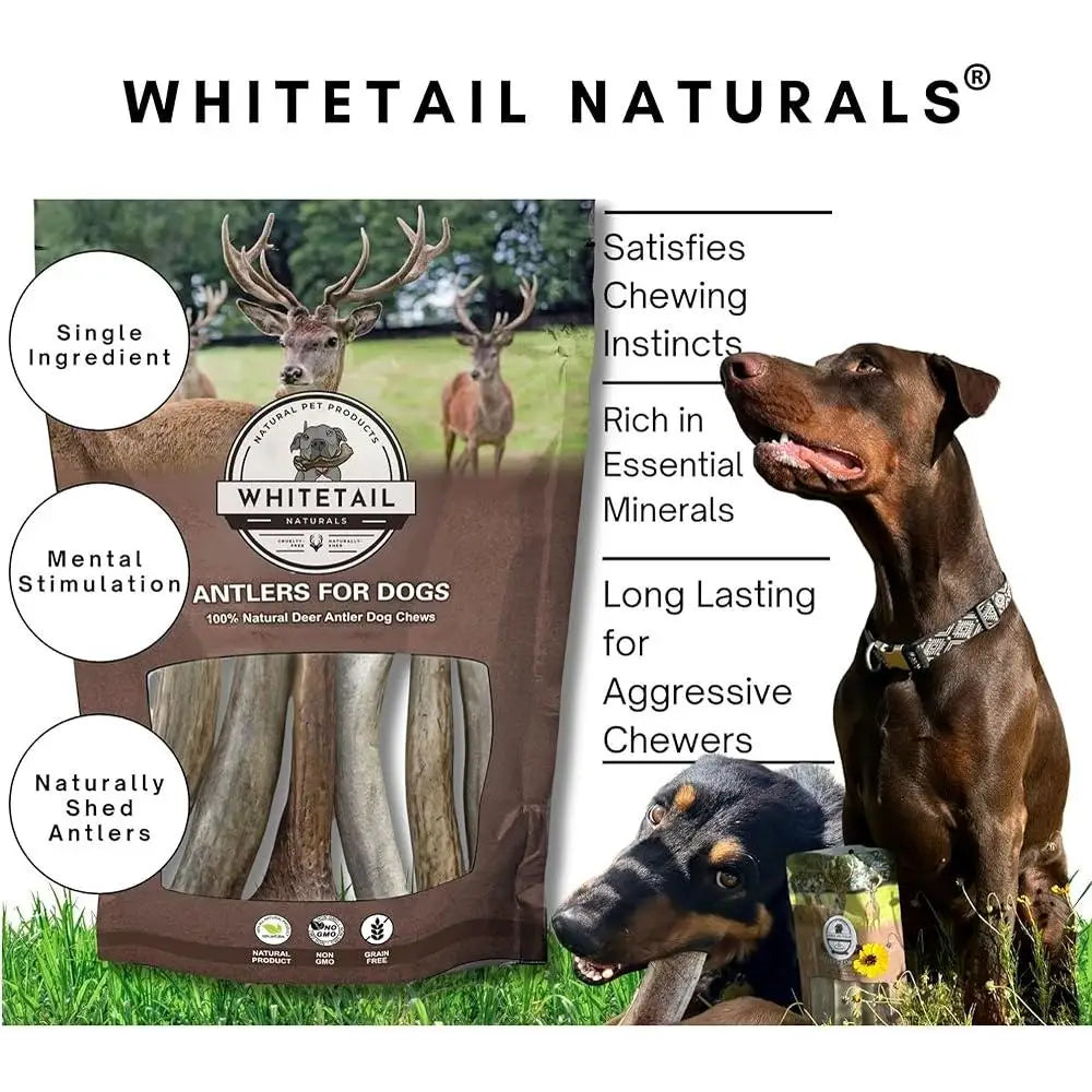 🦴 Natural Deer Antler Dog Chews – 6 Pack for Small Breed Dogs