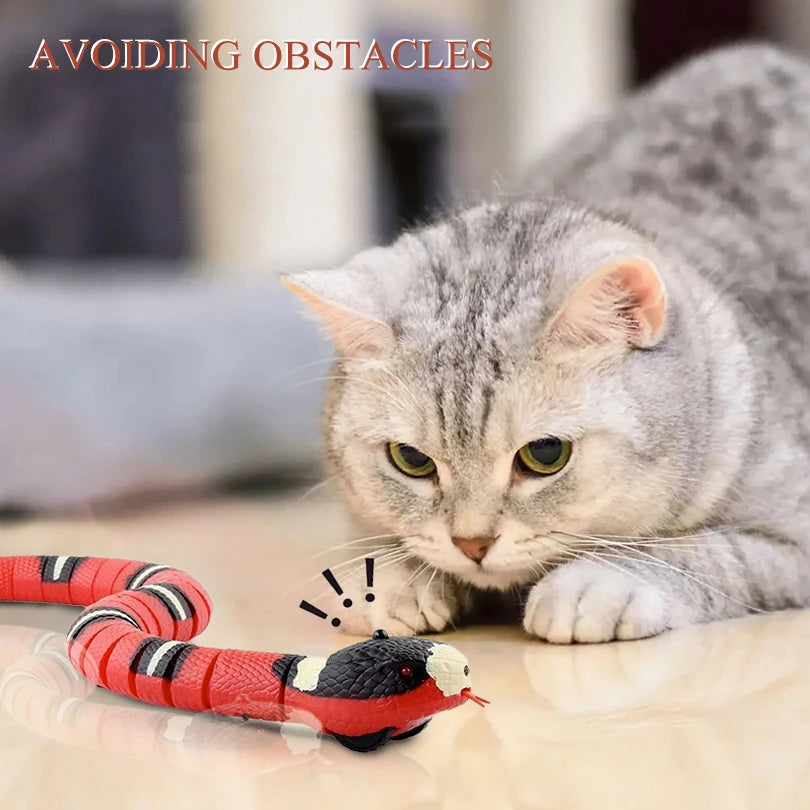 🚗 Smart Interactive Pet Car Toy – Remote-Controlled Fun for Cats and Dogs