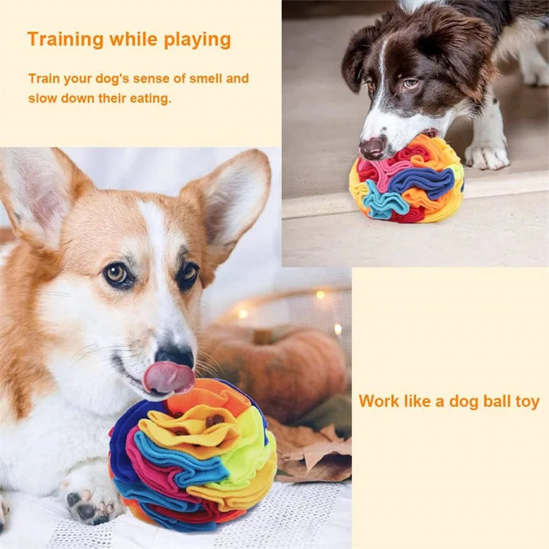 Snuffle Mat for Dogs – Interactive Foraging Puzzle & Slow Feeder Toy