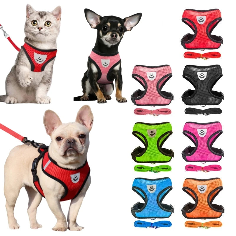 Breathable Mesh Cat & Small Dog Harness and Leash Kit