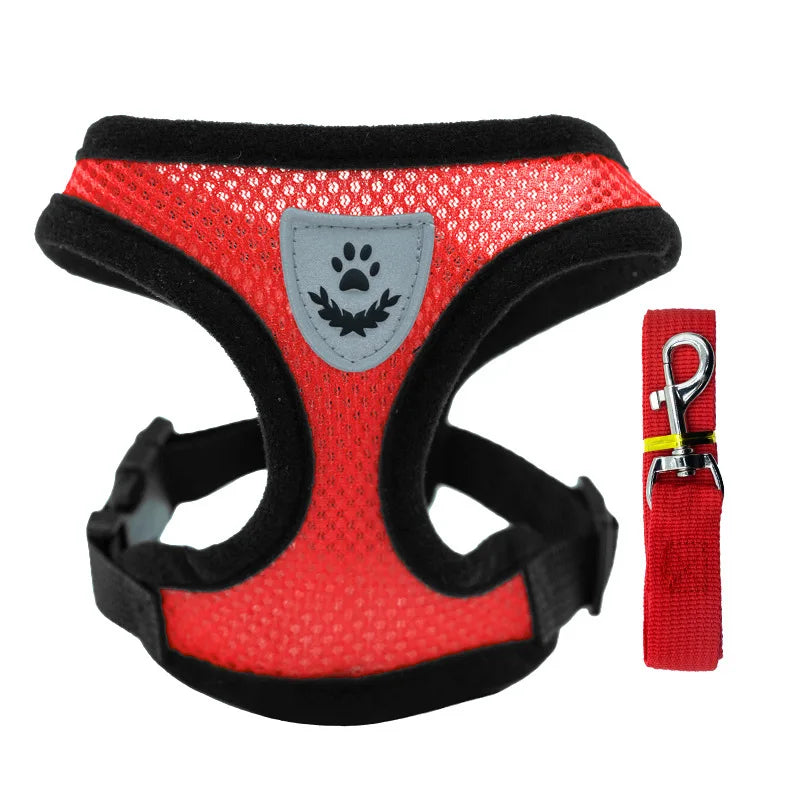 Breathable Mesh Cat & Small Dog Harness and Leash Kit