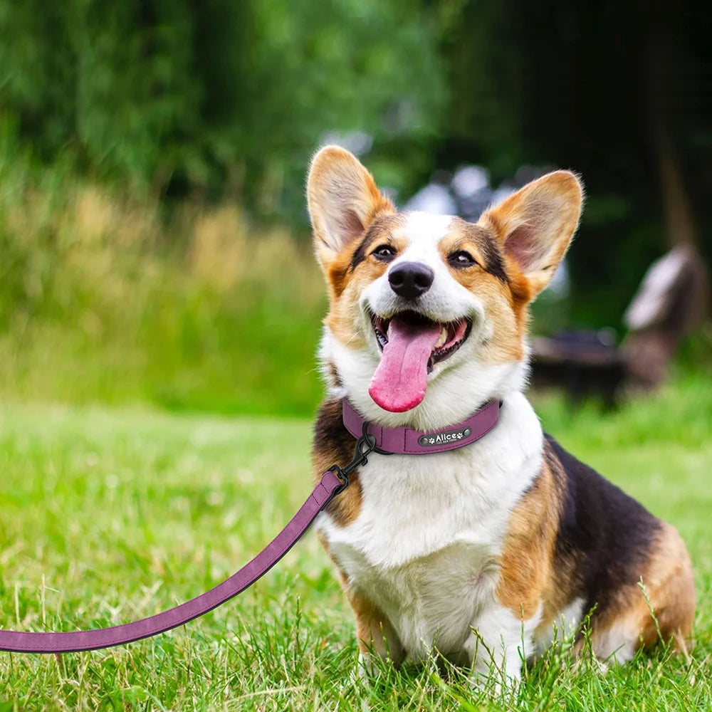 Personalized Leather Dog Collar & Leash Set – Custom ID for Small to Large Breeds
