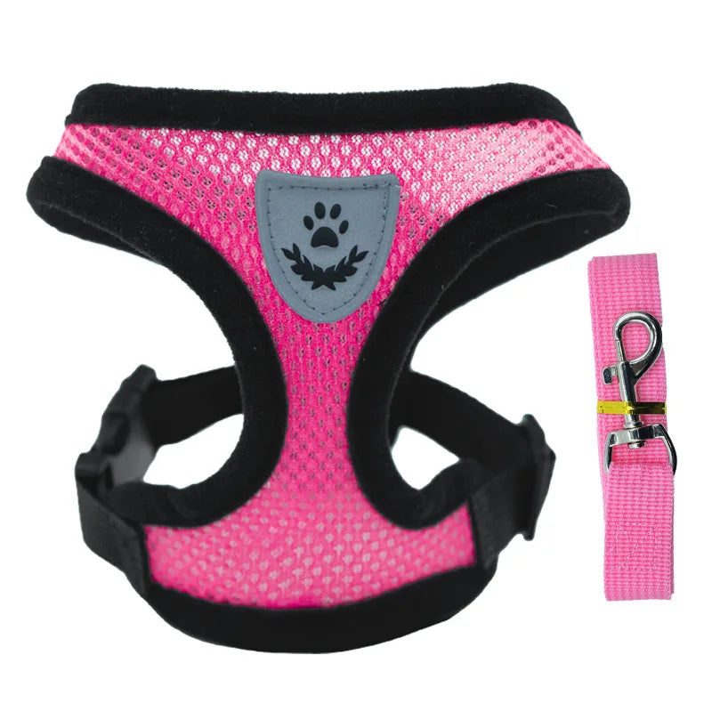 Breathable Mesh Cat & Small Dog Harness and Leash Kit