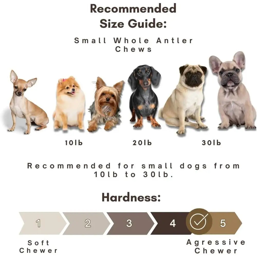 🦴 Natural Deer Antler Dog Chews – 6 Pack for Small Breed Dogs