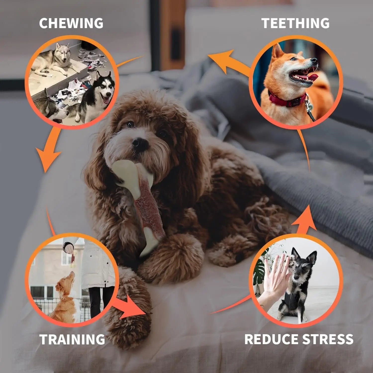 🦴 All For Paws Indestructible Nylon Bone – Beef-Flavored Chew Toy for Aggressive Chewers