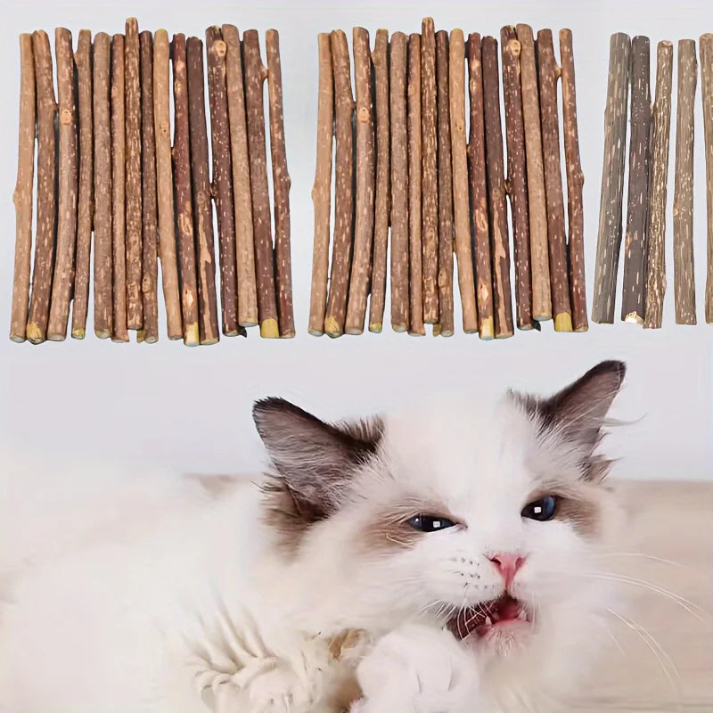 🌿 Natural Catnip Teething Sticks – 10/15/20 Pack Polygonum Chew Toys for Cats