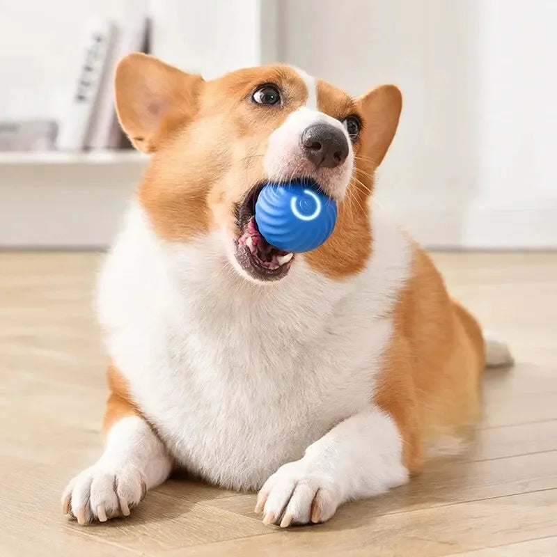 ⚡ Smart Interactive Dog and Cat Toy Ball – USB Rechargeable Moving & Bouncing Ball for Pets