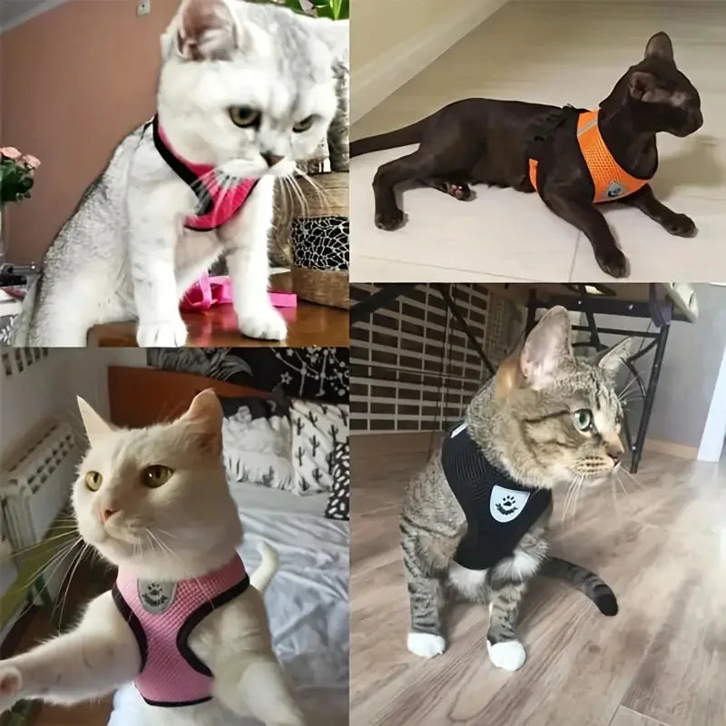Breathable Mesh Cat & Small Dog Harness and Leash Kit