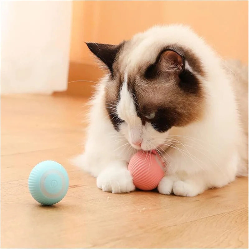 ⚡ Smart Interactive Dog and Cat Toy Ball – USB Rechargeable Moving & Bouncing Ball for Pets