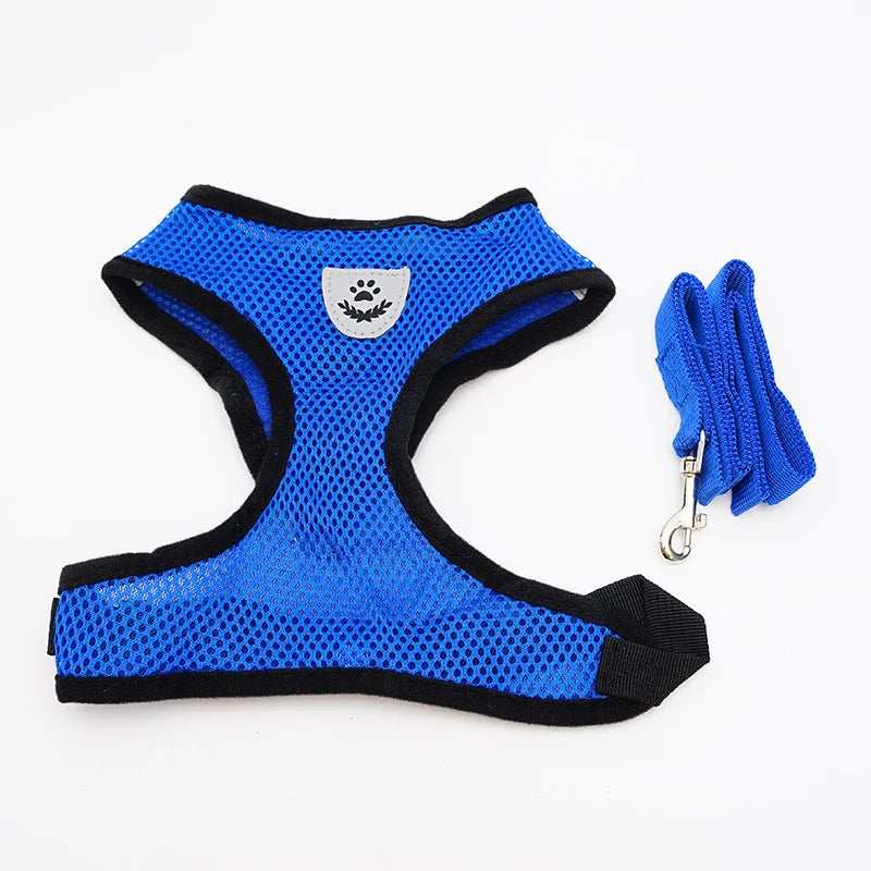Breathable Mesh Cat & Small Dog Harness and Leash Kit