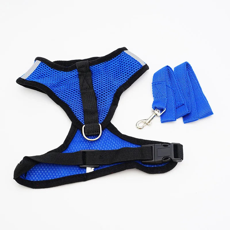 Breathable Mesh Cat & Small Dog Harness and Leash Kit