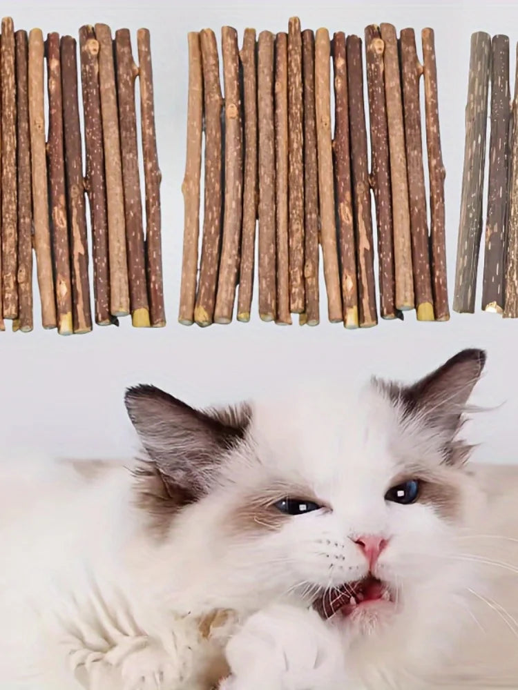 🌿 Natural Catnip Teething Sticks – 10/15/20 Pack Polygonum Chew Toys for Cats
