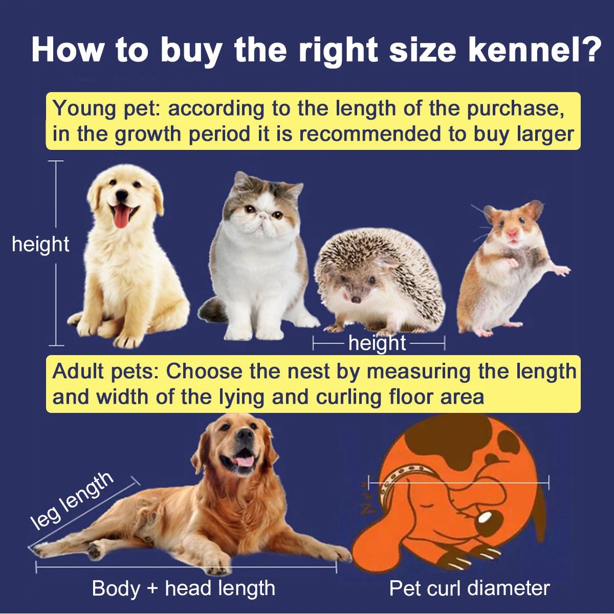 🛏️ Removable Dog Bed Mat – Washable Pet Cushion for Small and Medium Dogs